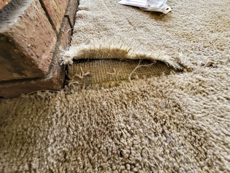 Basement Carpet Repair in Alpharetta, GA