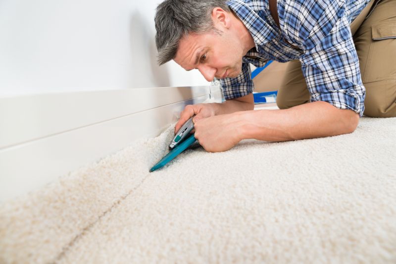 Carpet Burn Repair in Olathe, KS
