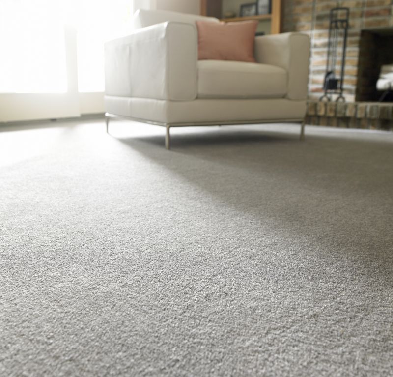 Carpet Foam Replacement in Denver County, CO