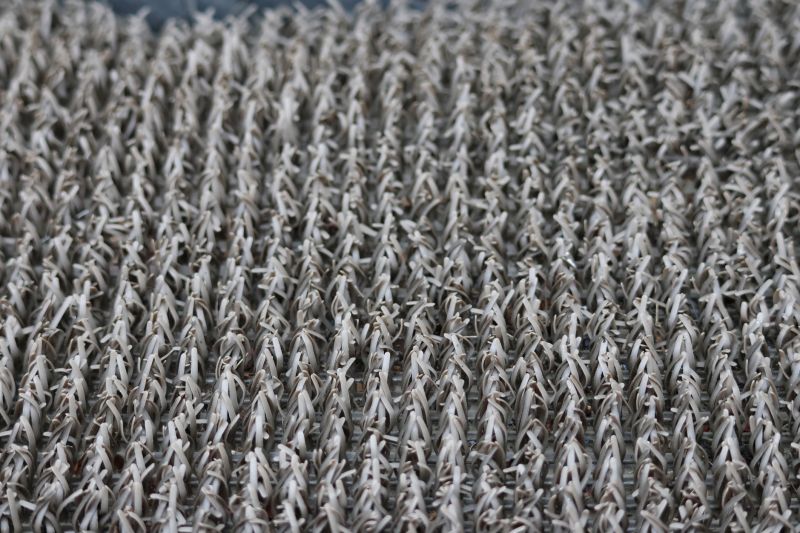 Carpet Restretching in Kansas City, KS