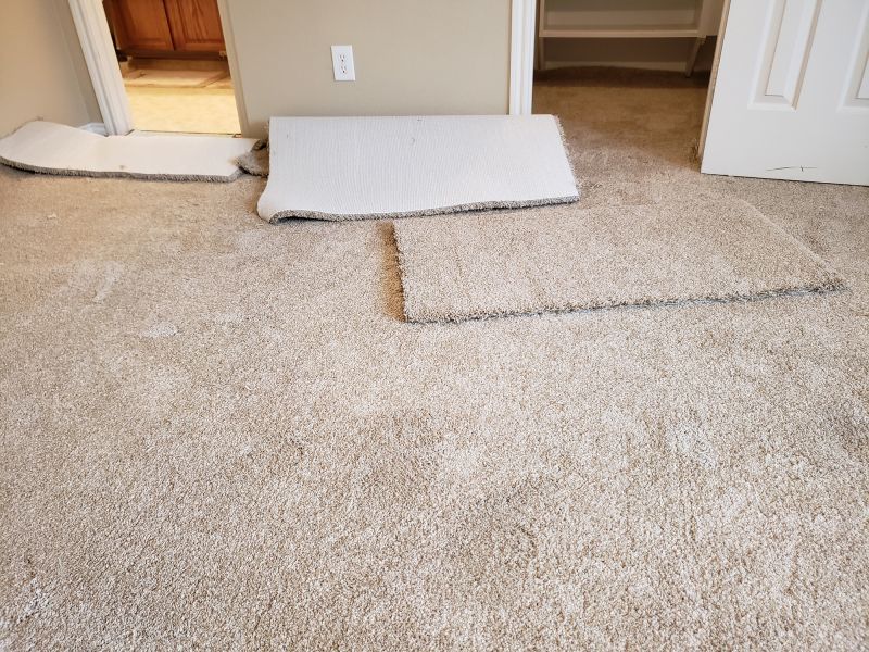 Carpet Smoothing in Olathe, KS