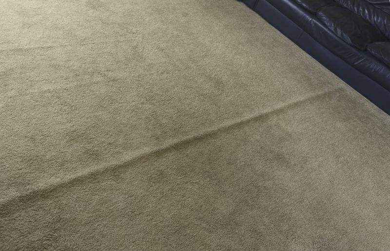 Loosened Carpet Areas