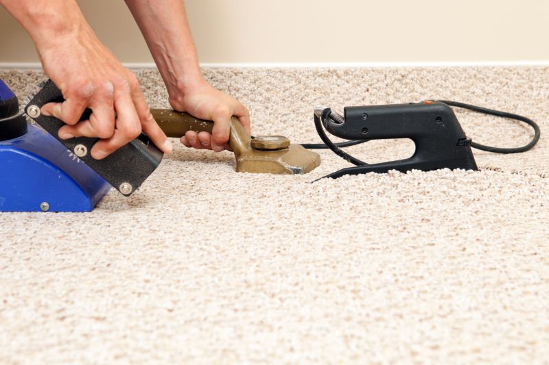 Professional Carpet Repair