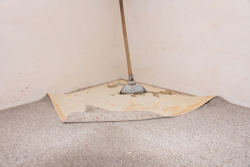 Commercial Carpet Repair in Olathe, KS