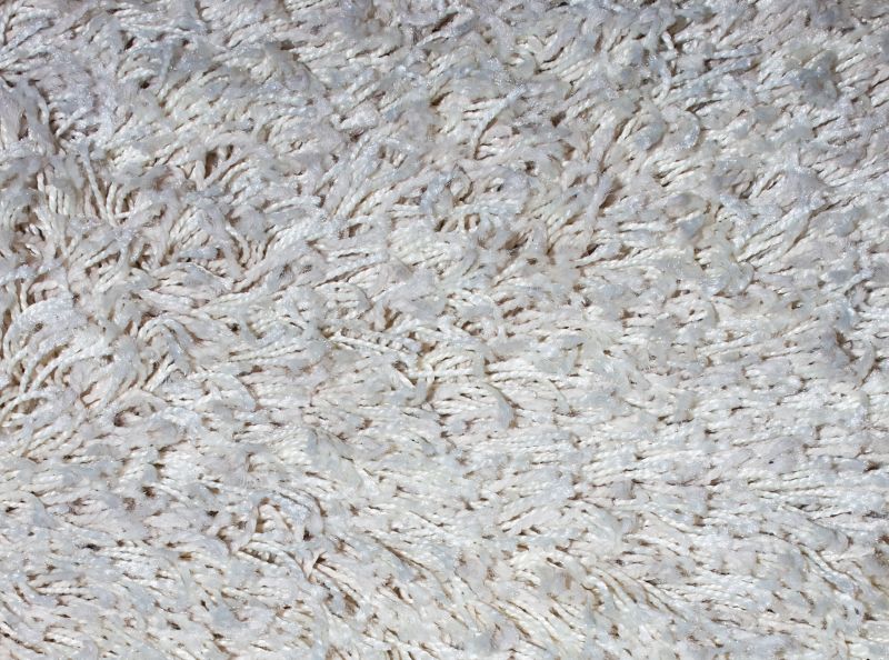 Pet Stain Carpet Repair in Overland Park, KS
